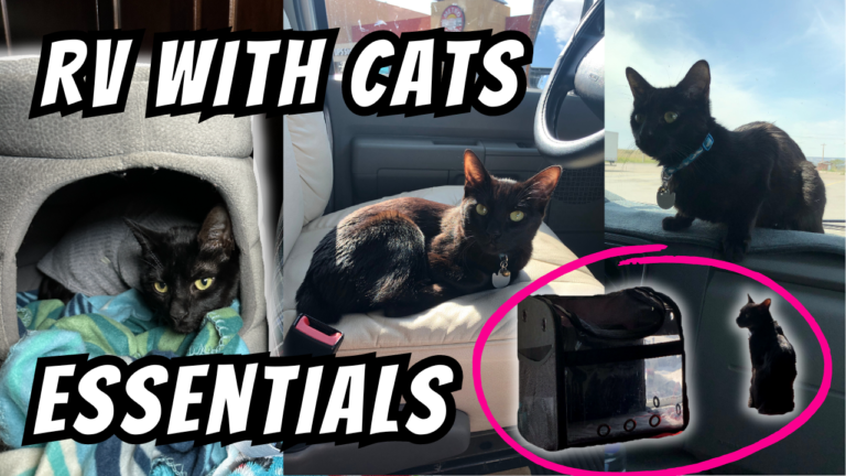 RVing With Pets Guide: Tips + Must-Have Gear (Dogs & Cats) - RVersity